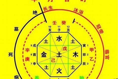 四柱神煞|四柱八字神煞解析（干货，初学者码住）